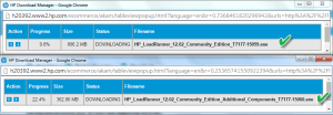 Downloading the Software